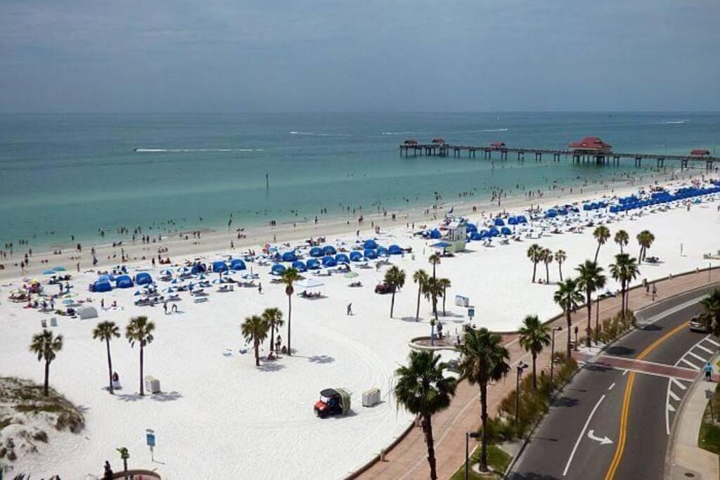 Centrally Located Family In Tampa